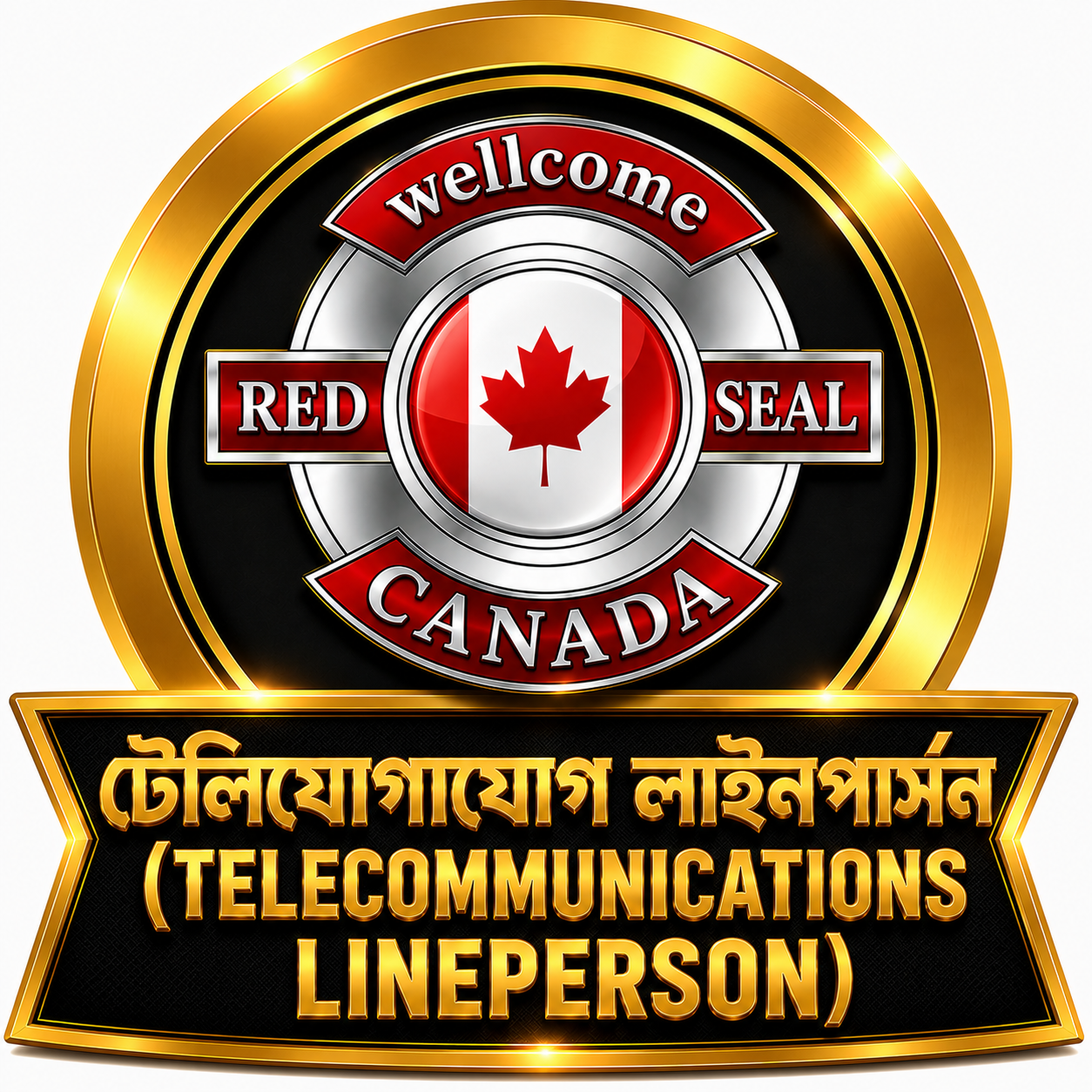 টেলিযোগাযোগ লাইনপার্সন (Telecommunications Lineperson)